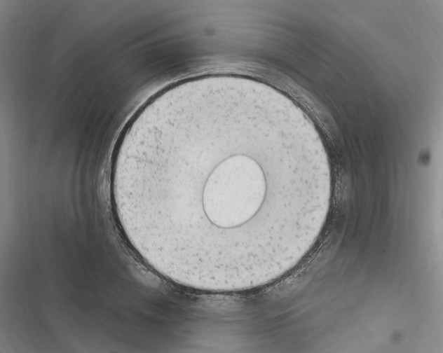 X0000116890836201001191803