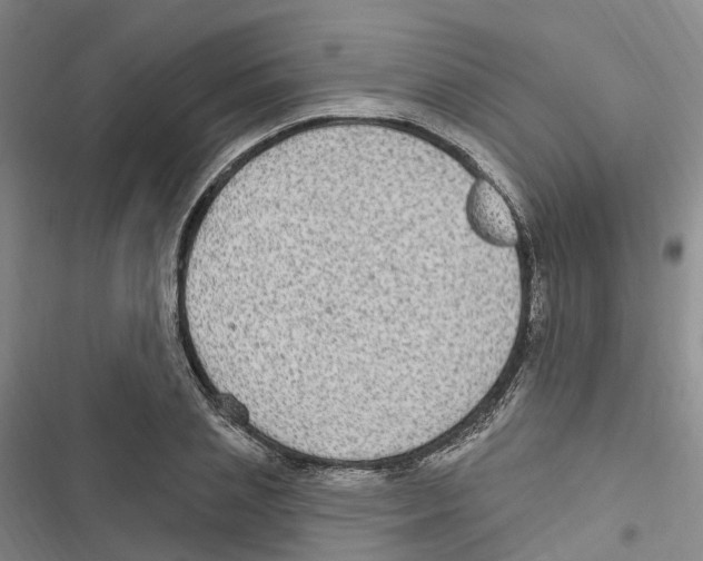 X0000116890837201001191804