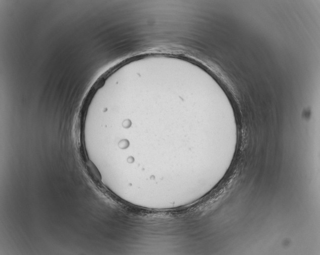 X0000116890838201001191804