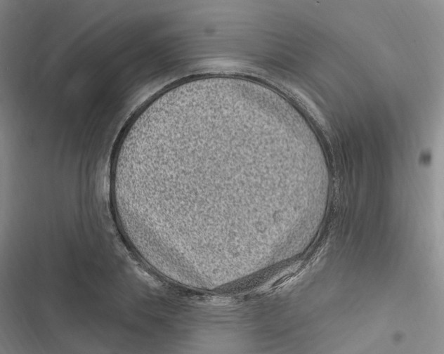 X0000116890839201001191804