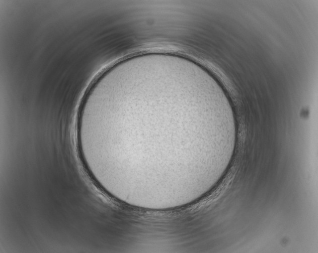 X0000116890840201001191804