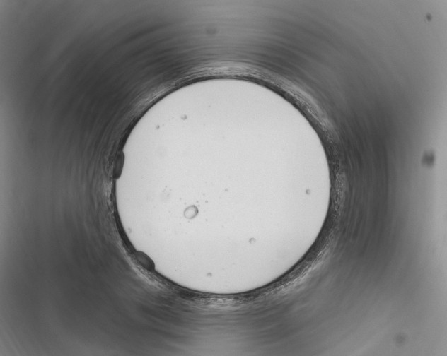 X0000116890841201001191804