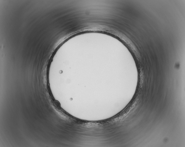 X0000116890842201001191804