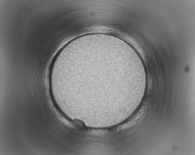 X0000116890843201001191804