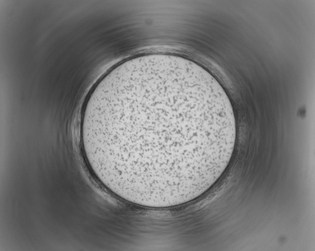 X0000116890844201001191804