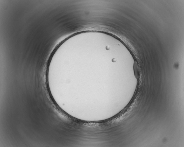 X0000116890846201001191804