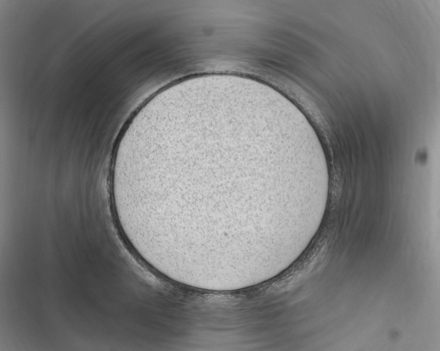 X0000116890847201001191804