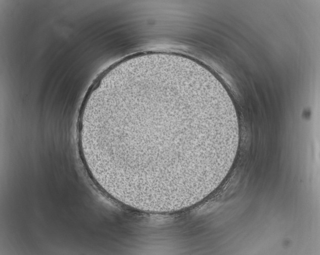 X0000116890848201001191804