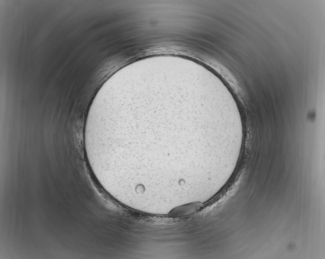 X0000116890849201001191804