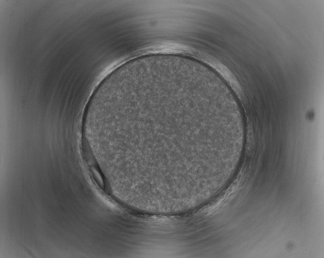 X0000116890850201001191804