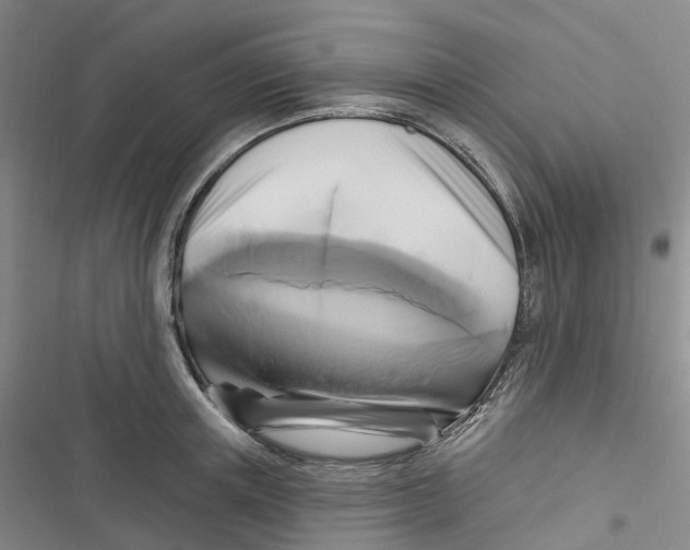 X0000116890851201001191804