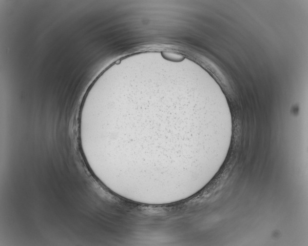 X0000116890852201001191804