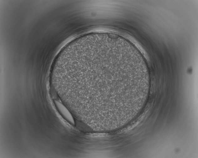 X0000116890853201001191804