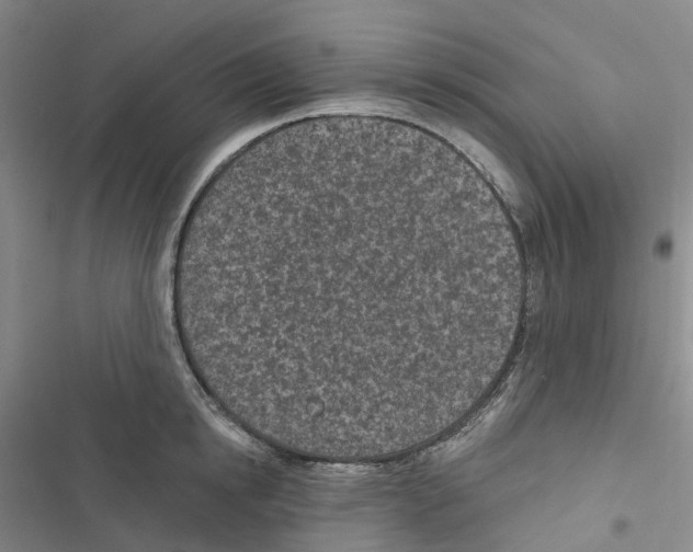 X0000116890854201001191804