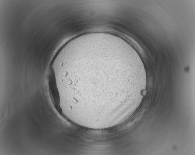 X0000116890855201001191804