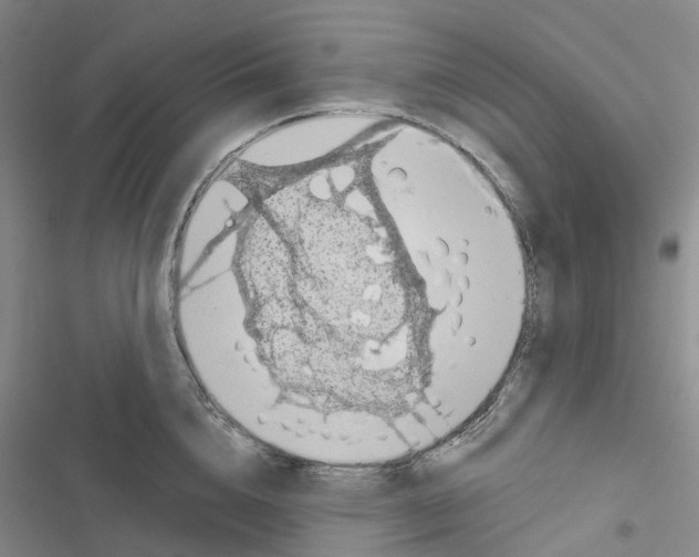 X0000116890856201001191804