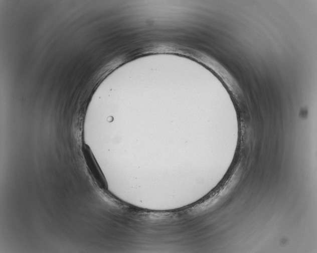 X0000116890857201001191804