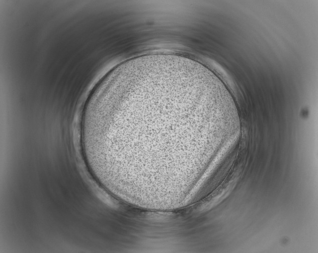 X0000116890859201001191804