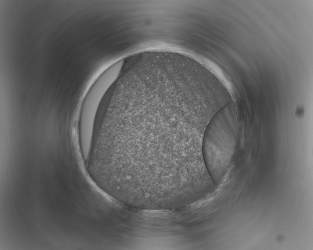 X0000116890863201001191804