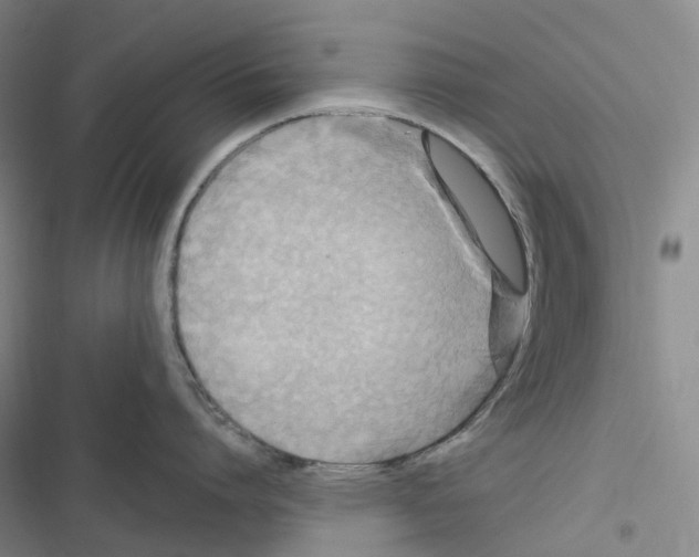 X0000116890864201001191804