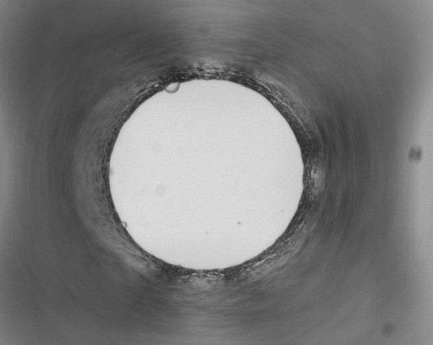 X0000116890865201001191803