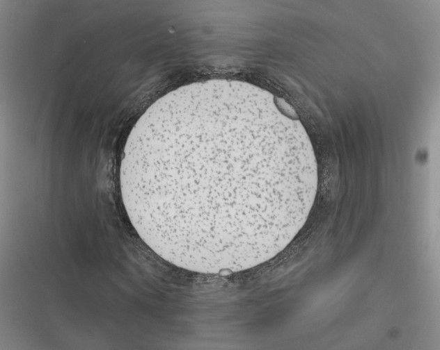 X0000116890866201001191803