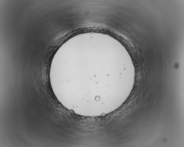 X0000116890869201001191803