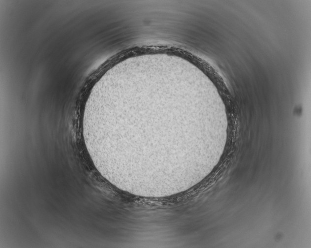 X0000116890871201001191803