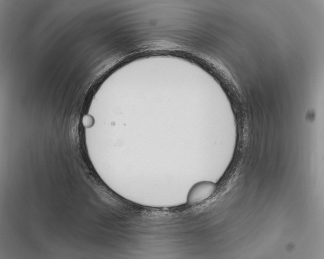 X0000116890873201001191803