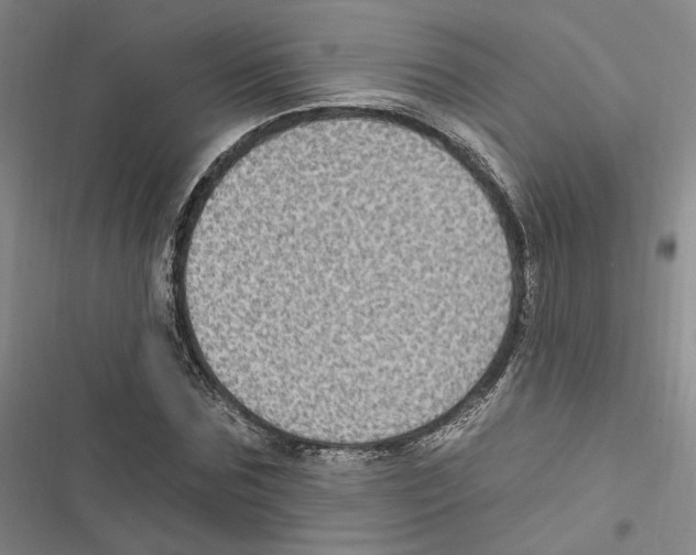 X0000116890875201001191803