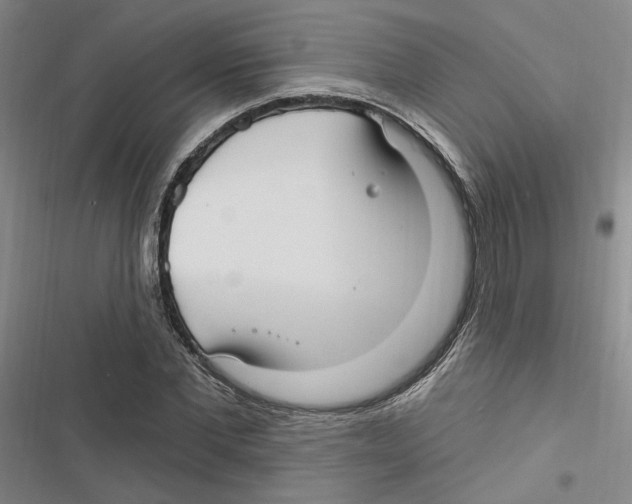 X0000116890877201001191803