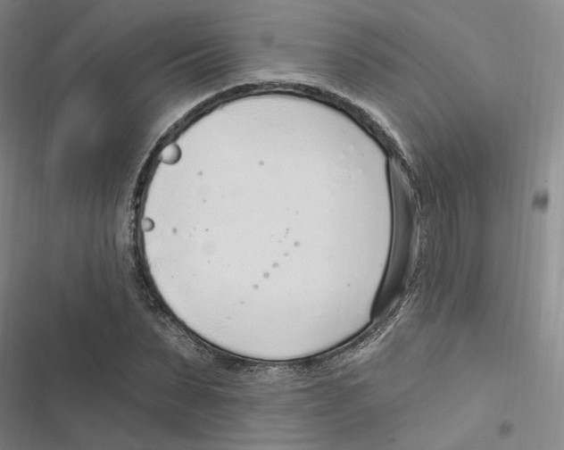 X0000116890879201001191803