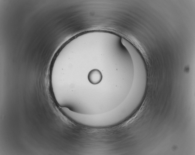 X0000116890892201001191803