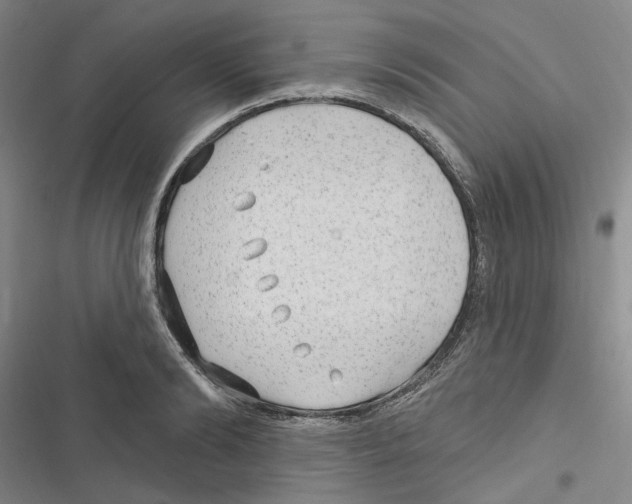 X0000116890894201001191803