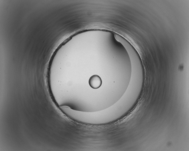 X0000116890901201001191803