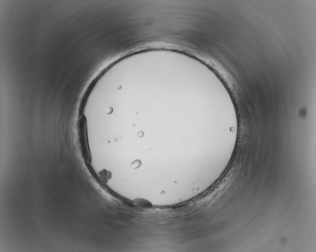 X0000116890902201001191803