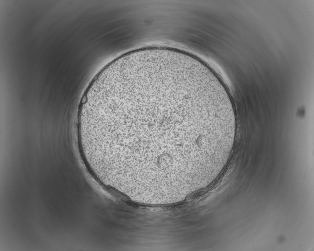 X0000116890903201001191803