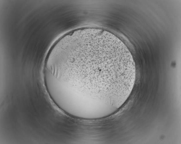 X0000116890904201001191803