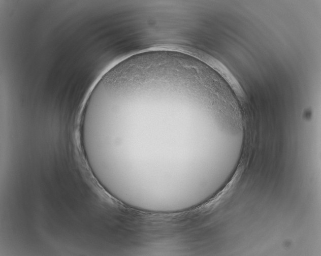 X0000116890908201001191803