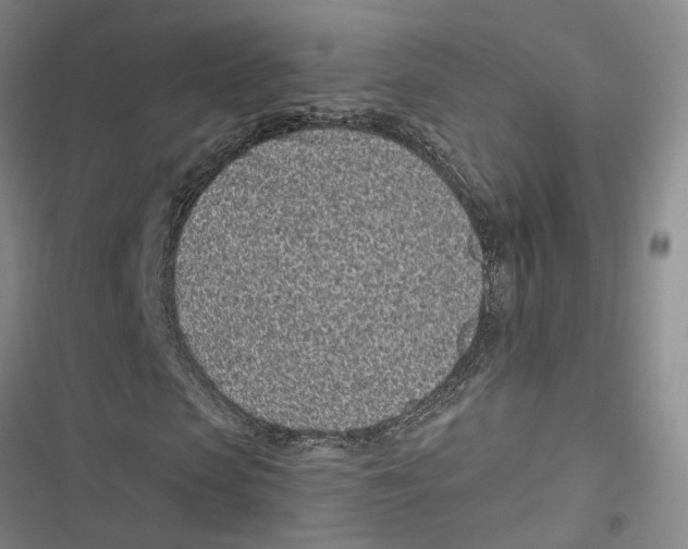 X0000116890913201001191802