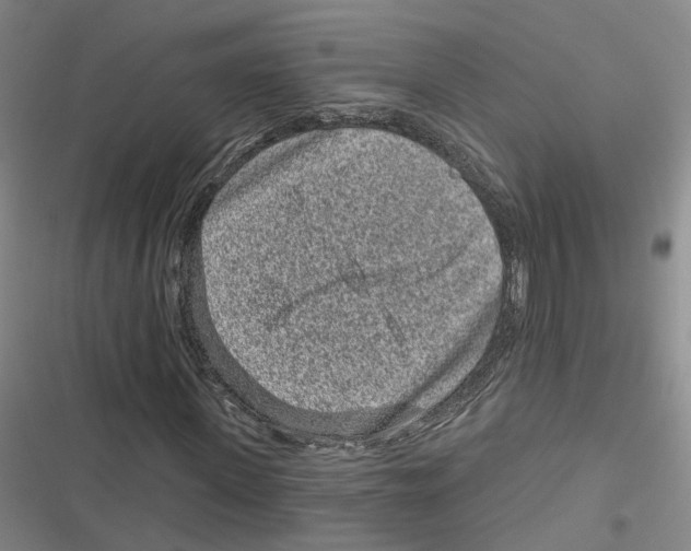 X0000116890915201001191802