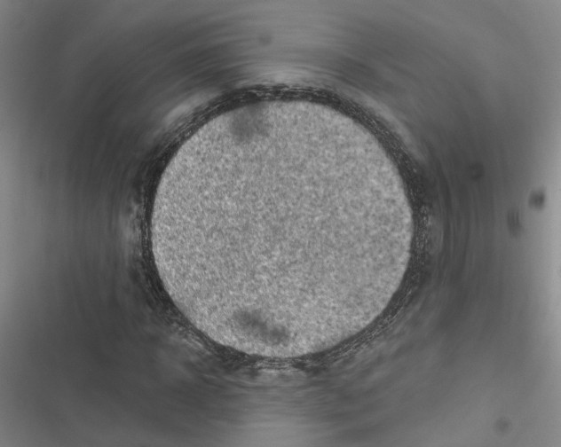 X0000116890918201001191802