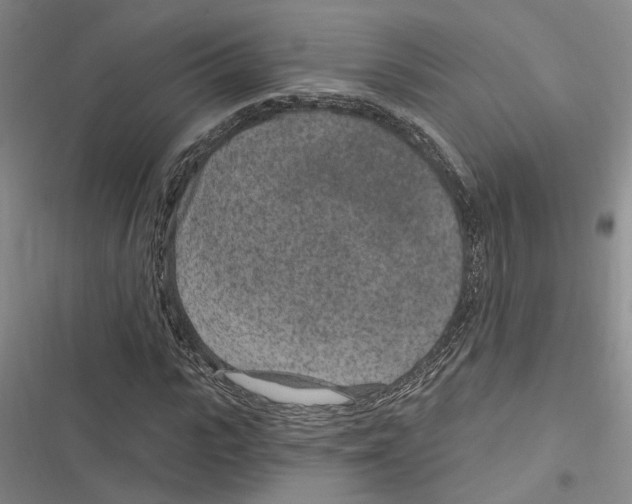 X0000116890919201001191802