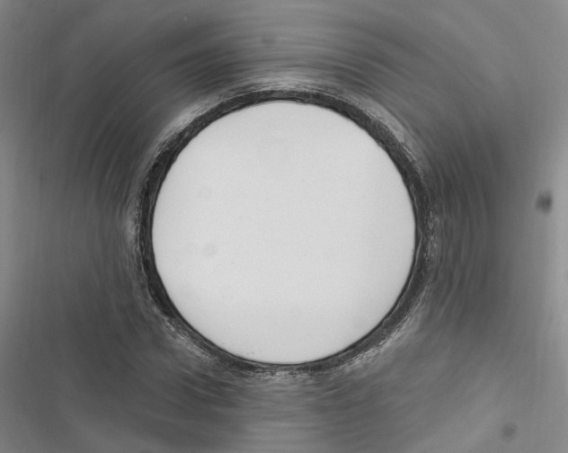 X0000116890922201001191802