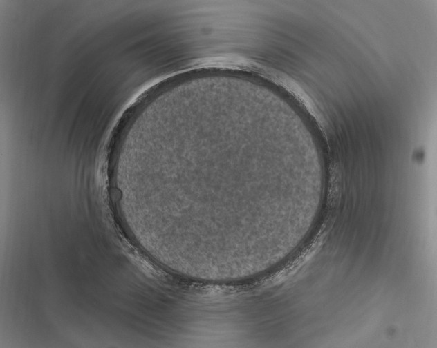 X0000116890923201001191802