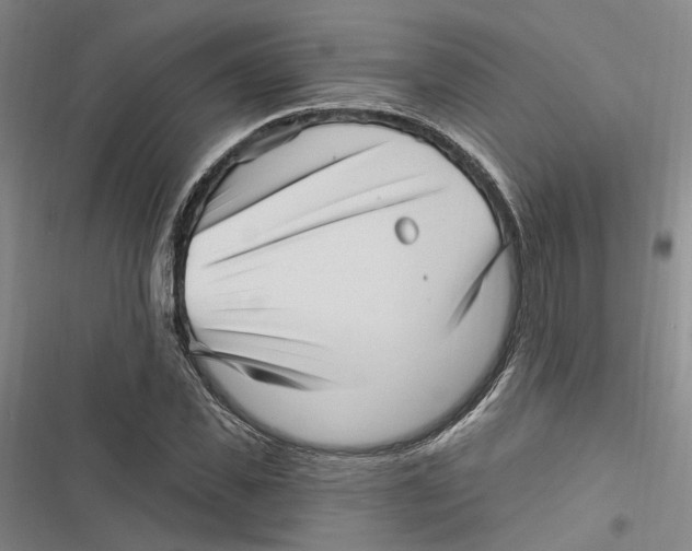 X0000116890925201001191802