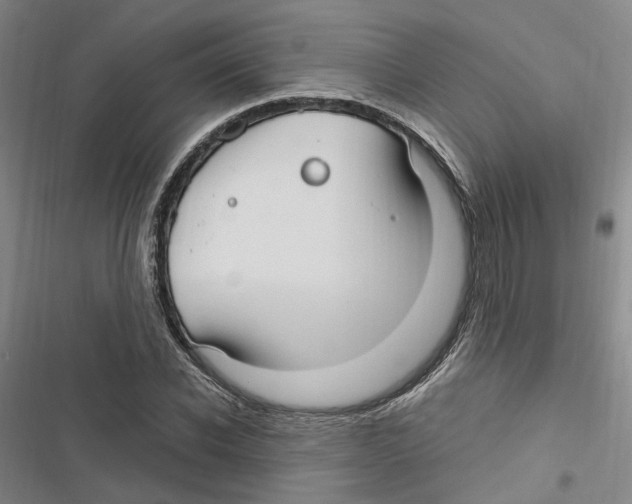 X0000116890926201001191802