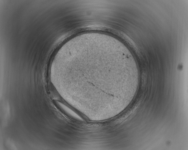 X0000116890930201001191802