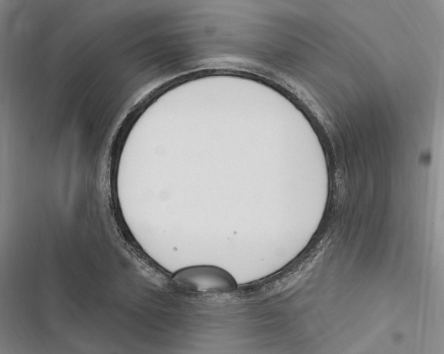 X0000116890931201001191802