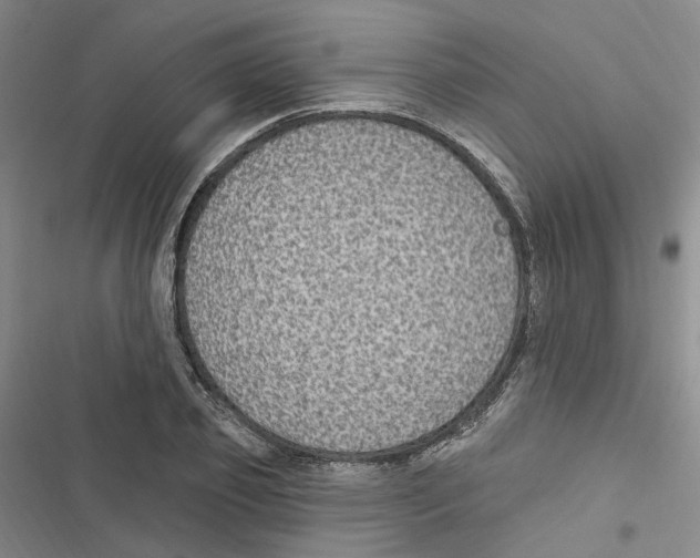 X0000116890933201001191802